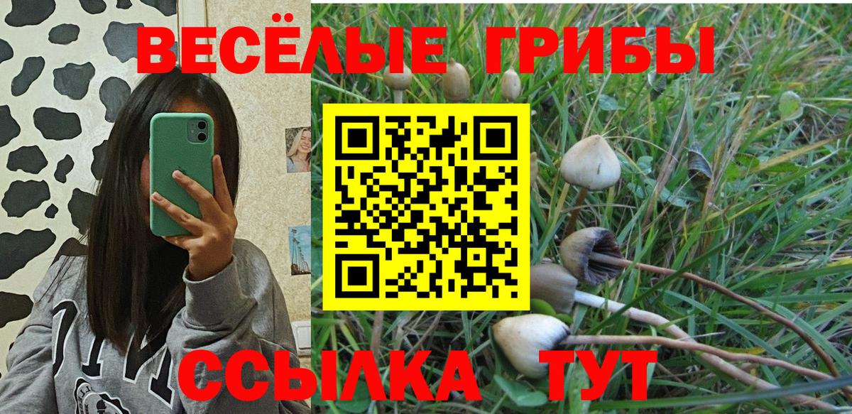 Галлюциногенные грибы Psilocybine cubensis Зеленокумск