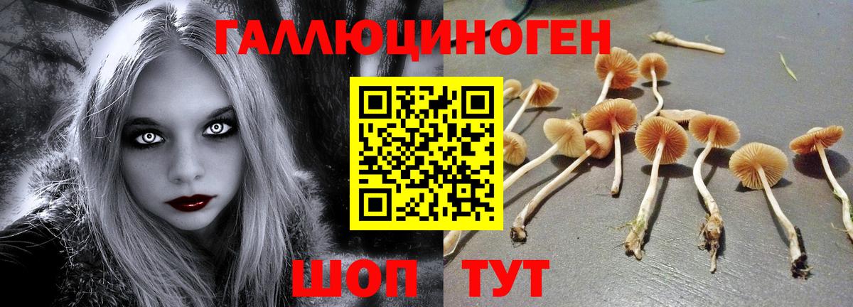 Псилоцибиновые грибы мицелий  Вход с VPN  цена наркотик  Зеленокумск 