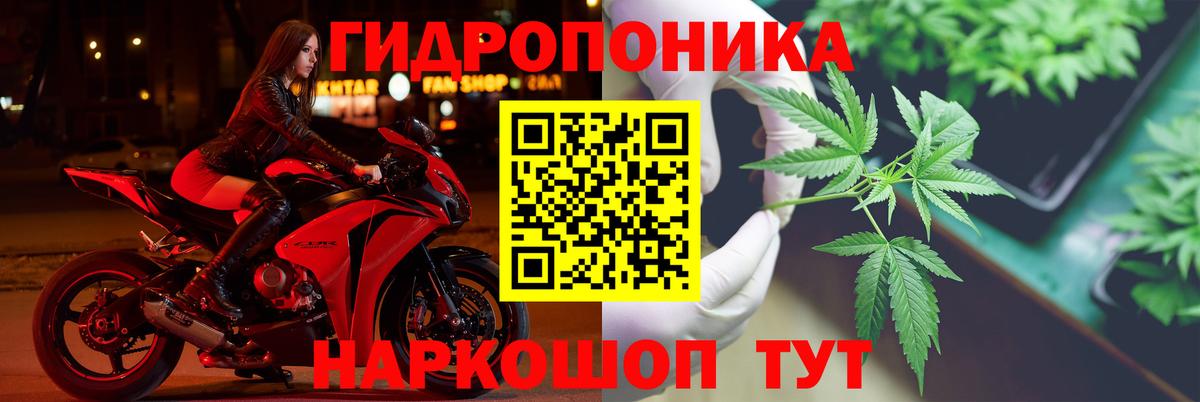 Каннабис MAZAR Зеленокумск